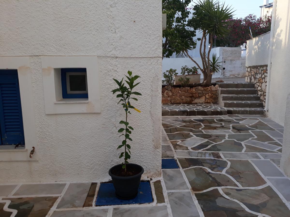 Holidays In Paros Alikí Eksteriør bilde